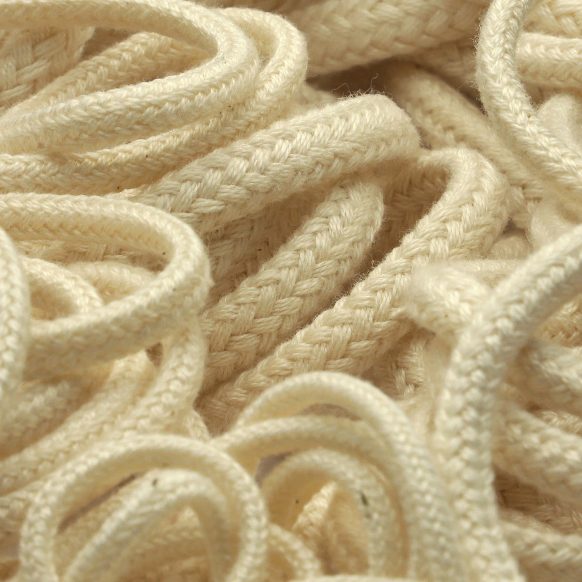 FUJIYAMA RIBBON [Sample] Cotton Spindle Cord approx.2mm (5/64&quot;) 2.5 Meters Cut Ecru