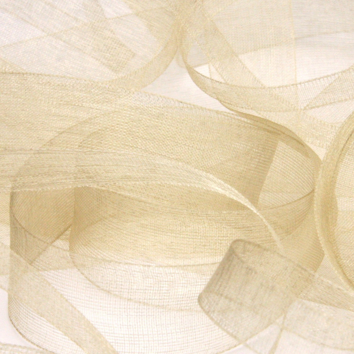 FUJIYAMA RIBBON [Sample] Organdy Ribbon (FY-224) 36mm 3 Meters Cut Beige